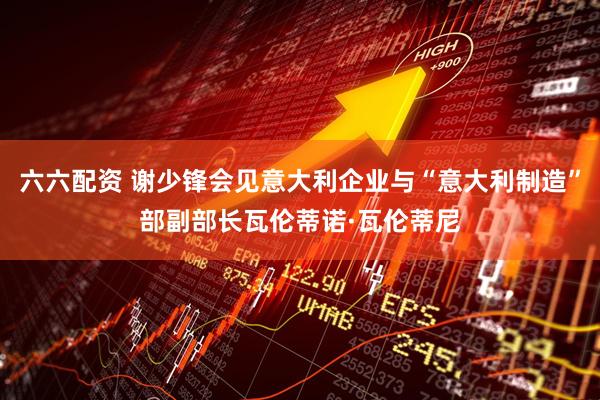 六六配资 谢少锋会见意大利企业与“意大利制造”部副部长瓦伦蒂诺·瓦伦蒂尼