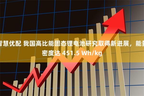 智慧优配 我国高比能固态锂电池研究取得新进展，能量密度达 451.5 Wh/kg